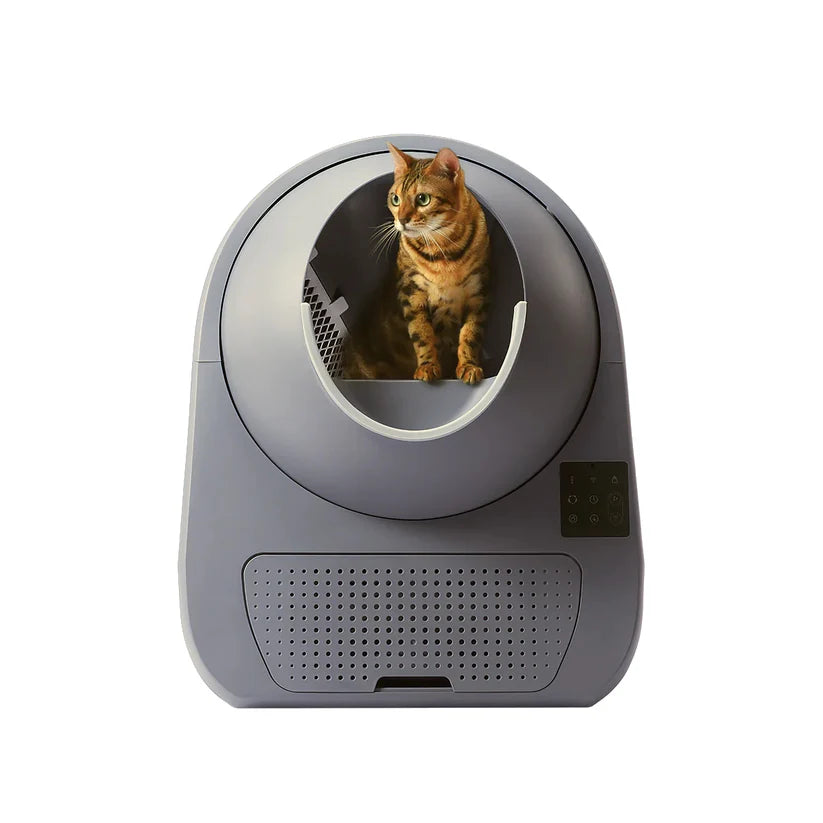 Automatic Self-Cleaning Cat Litter Box