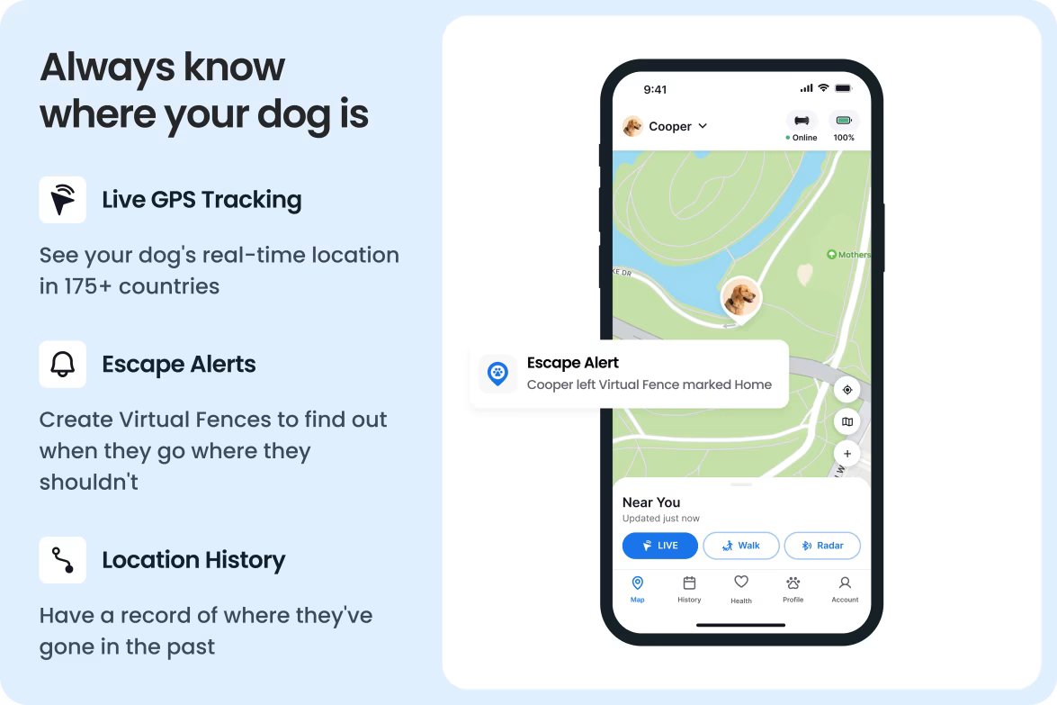 Smart Dog Tracker